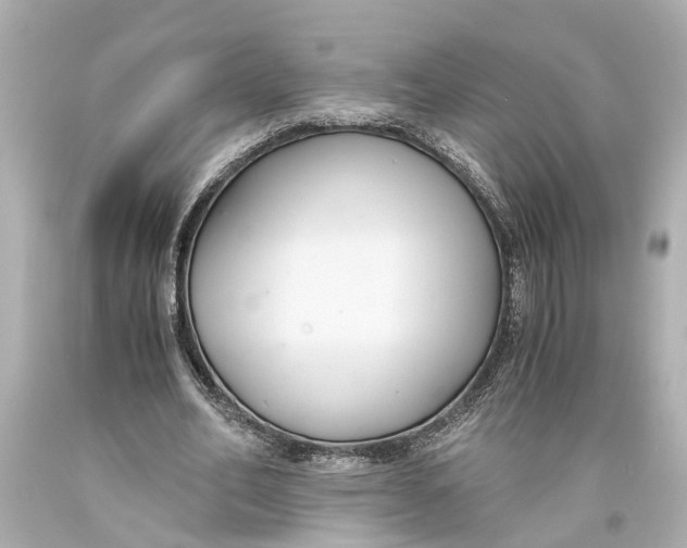X0000093590582200711051139