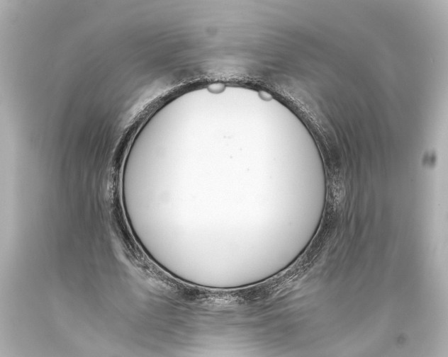 X0000093590583200711051139