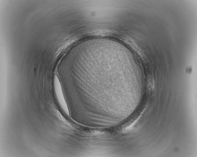 X0000093590585200711051139