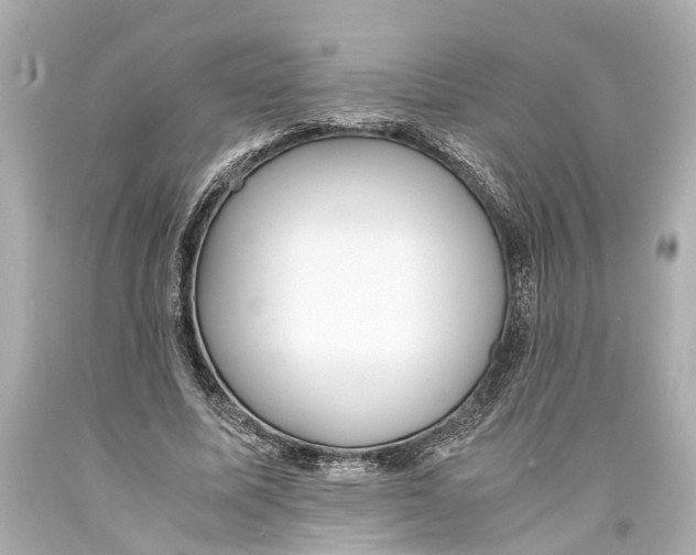 X0000093590587200711051139