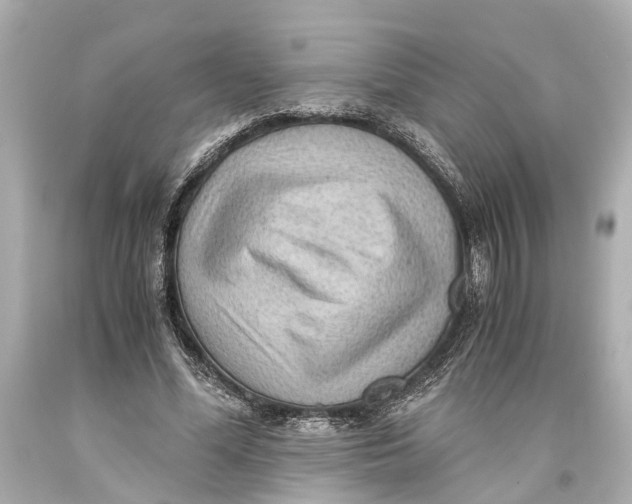 X0000093590588200711051139