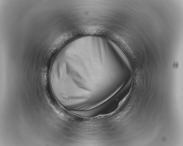 X0000093590590200711051139