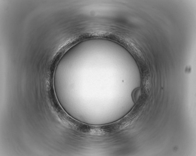 X0000093590591200711051139