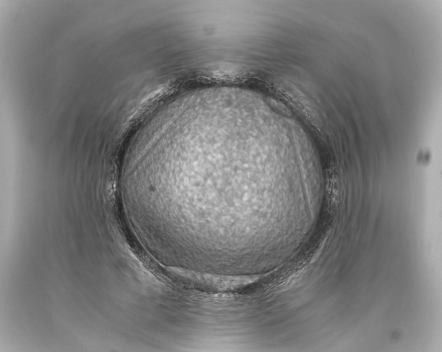X0000093590593200711051139