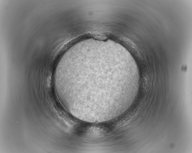 X0000093590596200711051139