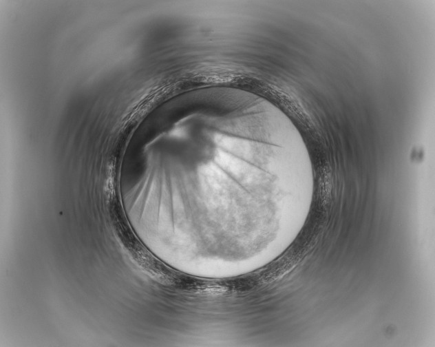 X0000093590598200711051139