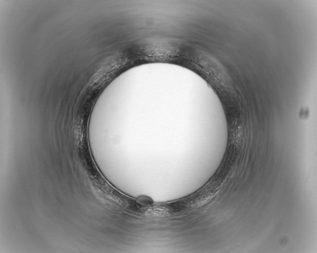 X0000093590599200711051139