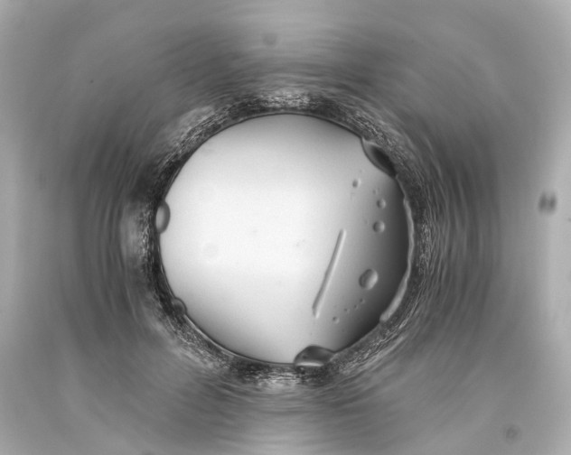 X0000093590600200711051139
