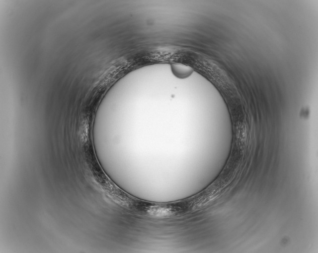 X0000093590602200711051139