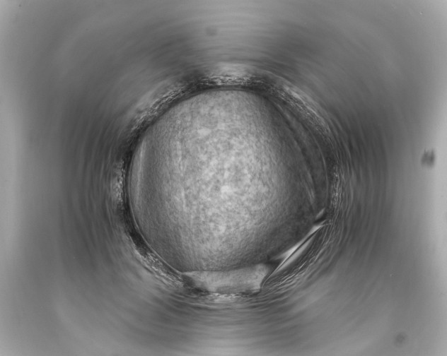 X0000093590604200711051139