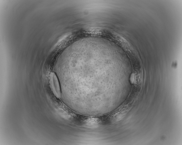 X0000093590609200711051139