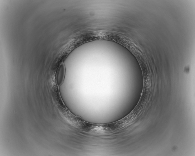 X0000093590611200711051139