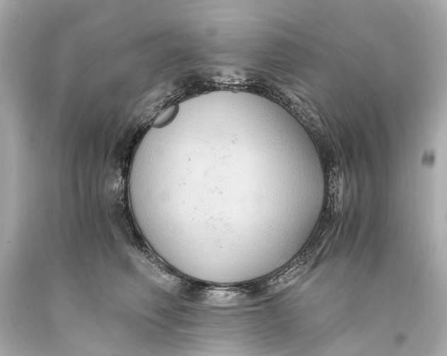 X0000093590614200711051139