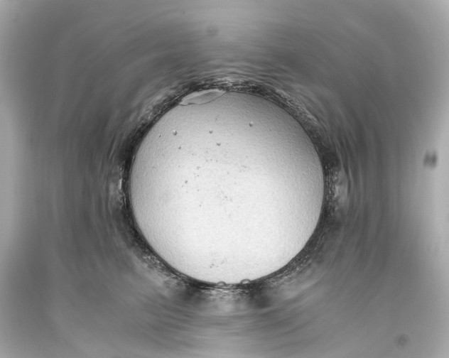 X0000093590615200711051139