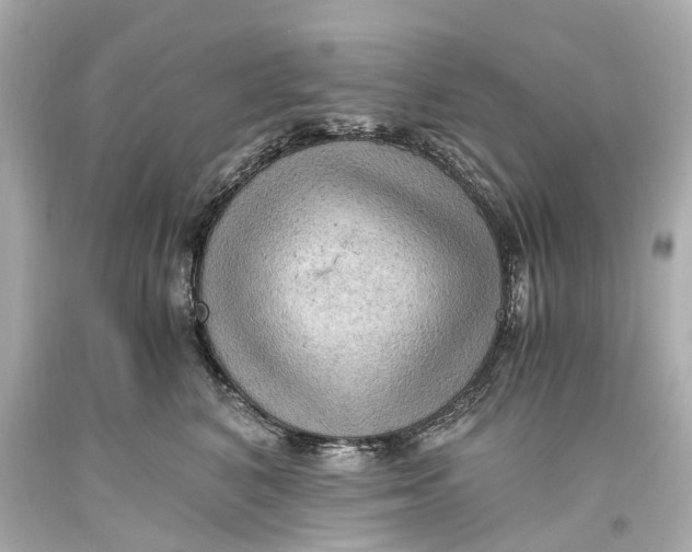 X0000093590616200711051139