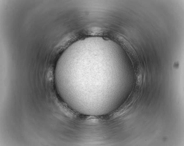 X0000093590620200711051139