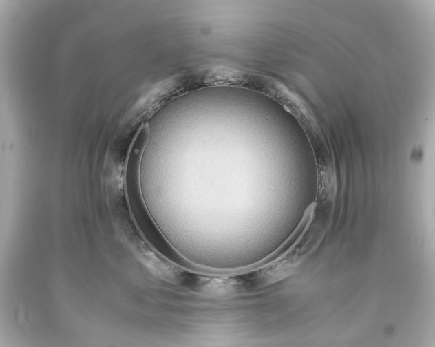 X0000093590621200711051139