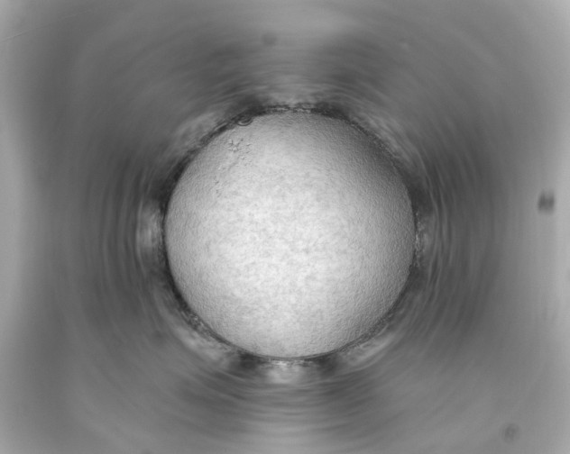 X0000093590623200711051139