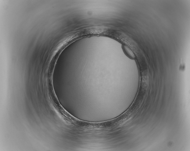 X0000093590626200711051138
