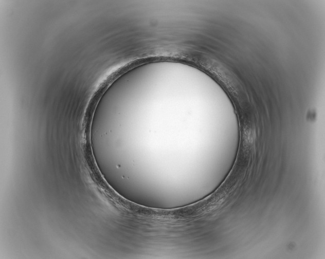 X0000093590628200711051138