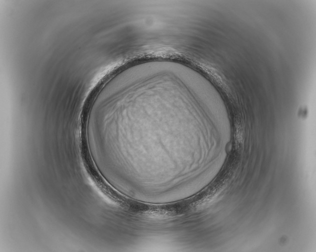 X0000093590630200711051138