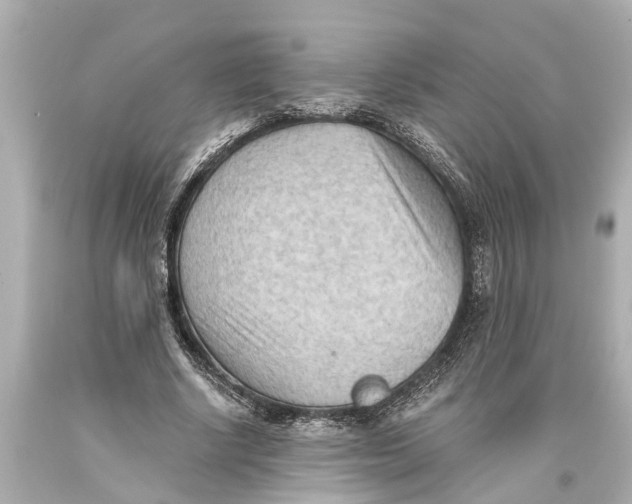 X0000093590634200711051138