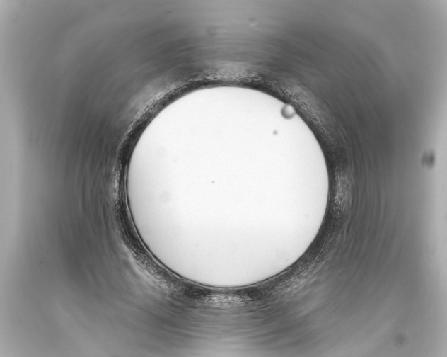 X0000093590636200711051139