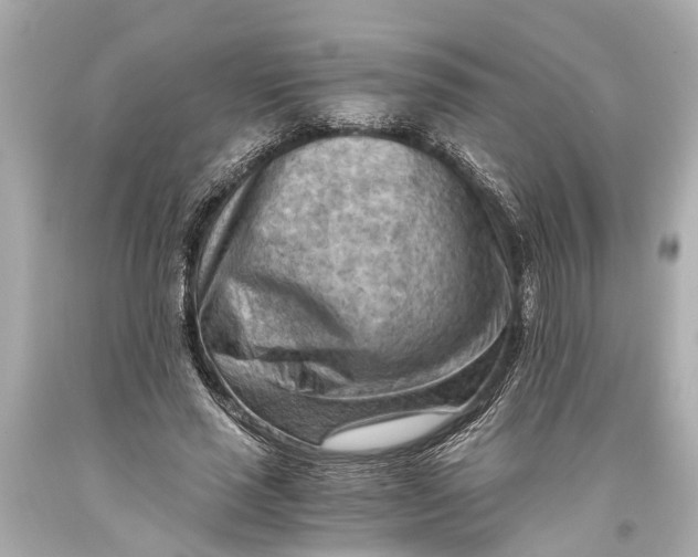 X0000093590637200711051139