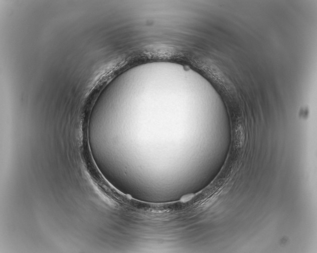 X0000093590638200711051139