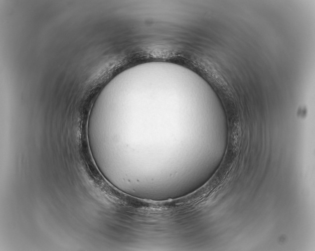 X0000093590639200711051139