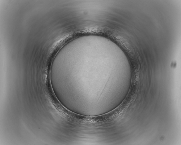 X0000093590640200711051139