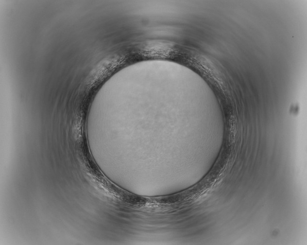 X0000093590641200711051139