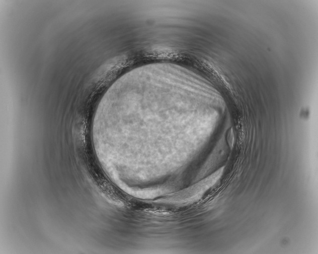 X0000093590643200711051139