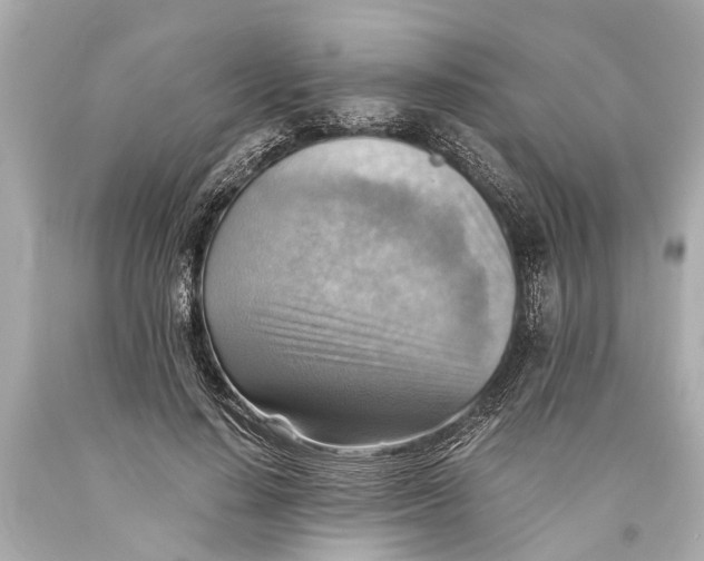 X0000093590644200711051139