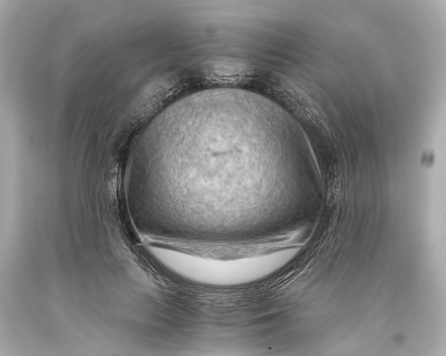 X0000093590647200711051139
