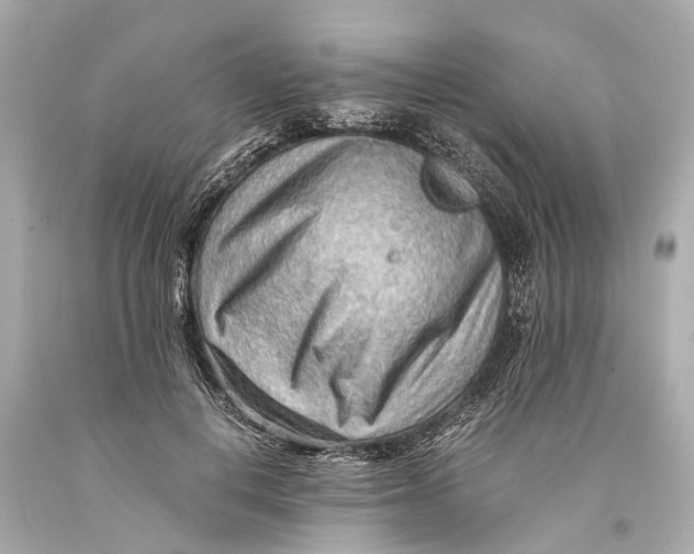 X0000093590648200711051139