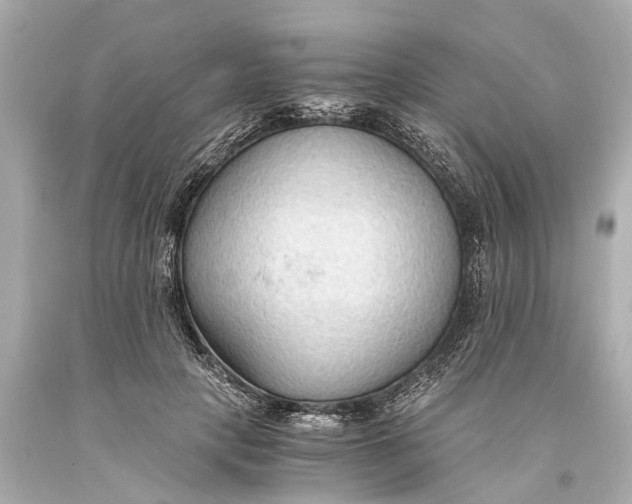 X0000093590649200711051139