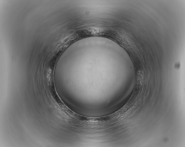 X0000093590650200711051139