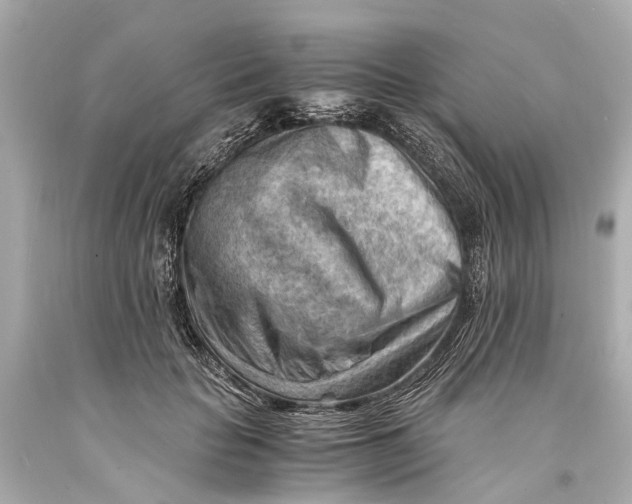 X0000093590653200711051139