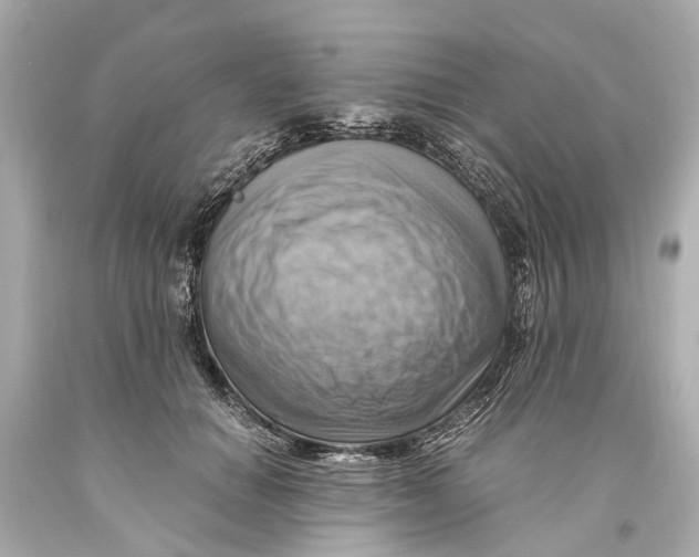 X0000093590654200711051139