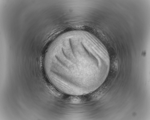 X0000093590658200711051139