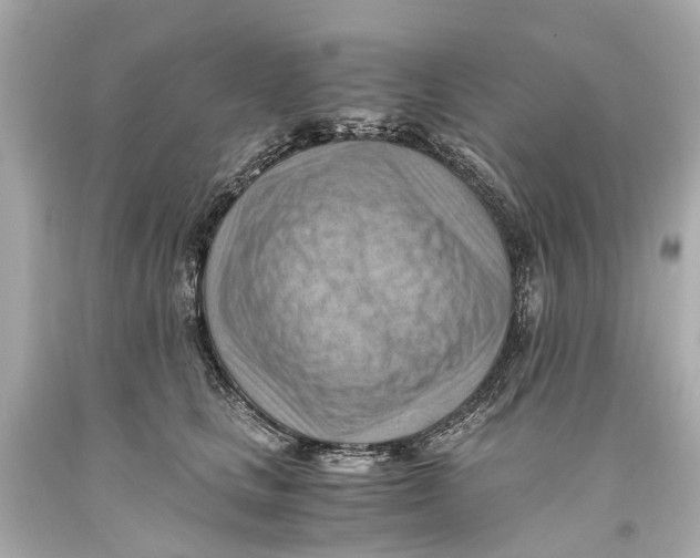X0000093590661200711051139