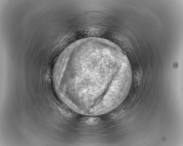X0000093590663200711051139