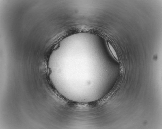 X0000093590666200711051139