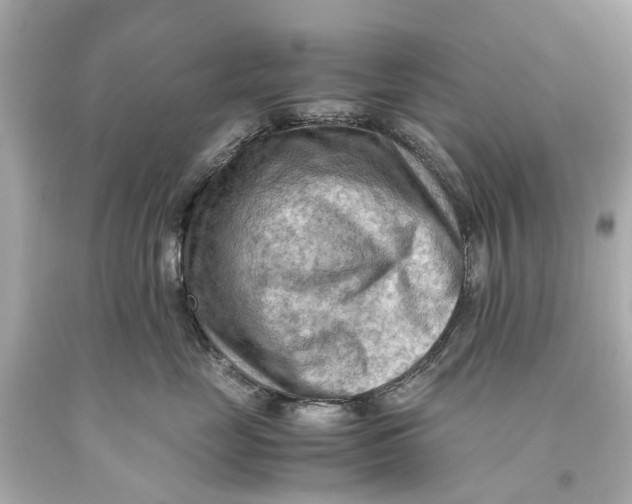 X0000093590669200711051139