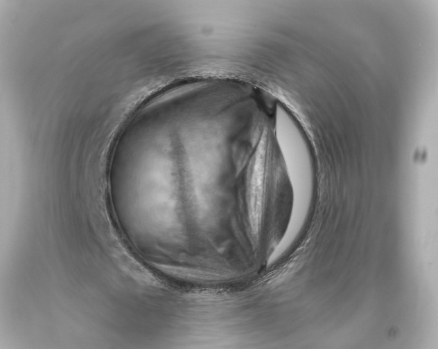 X0000093590673200711051138