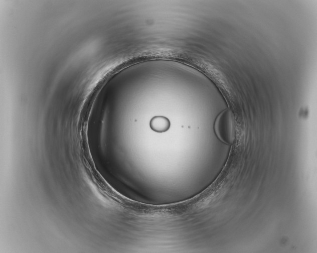 X0000093590674200711051138