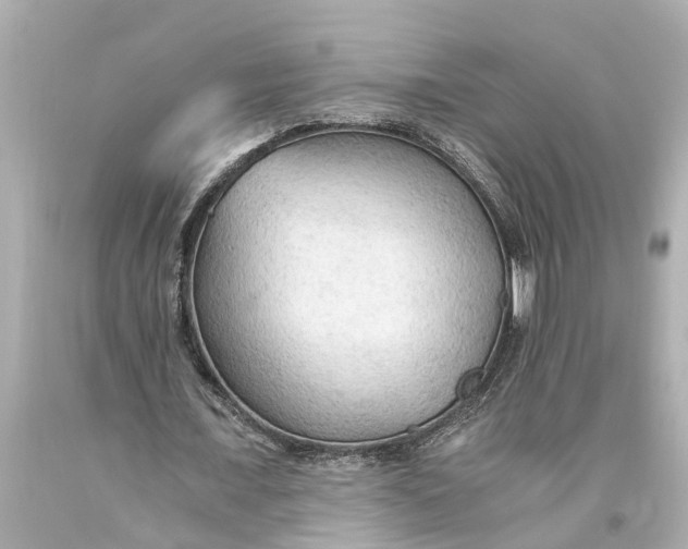 X0000093590675200711051138