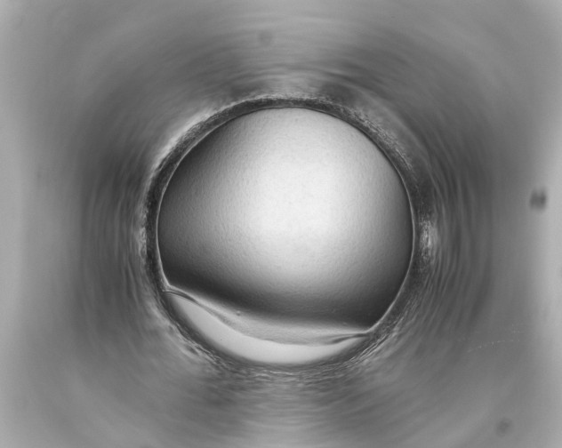 X0000093590676200711051138