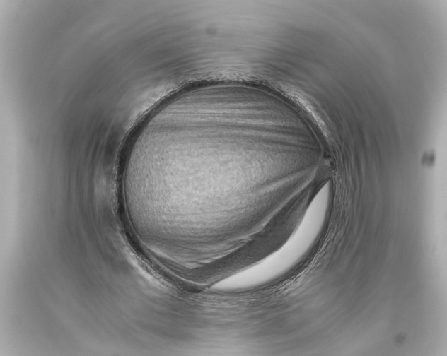 X0000093590677200711051138